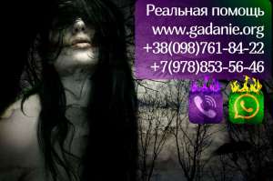 ���������� ����� - ������� ������� ����� �������� - 100% ���������