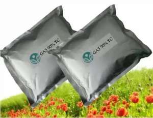 ���������� ����� ��������