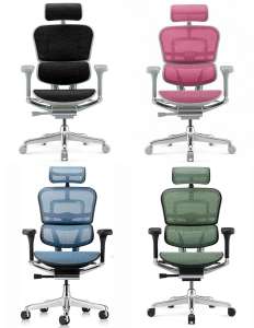 ���������� ������ Ergohuman Elite 2 � ������� ��������� - ����������