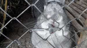 ���������� ������ ��� �������