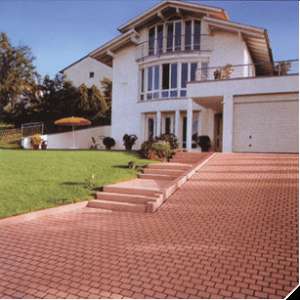 ���������� ������ ���� �������� ��� - ����������