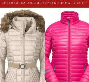 ���������� ������ ����. ����������. ������ ������. 1 ����