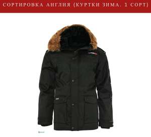 ���������� ������ ����. ����������. ������ ������. 1 ����