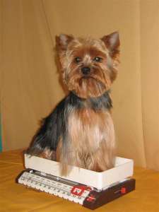 ���������� ������ �����