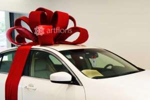 ���������� ������ ���������� ������, �������� ���� �� ������, ���������� ��������� ���� - ����������