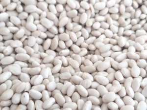 ���������� ������� ��� - ����������