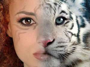 ���������� ����-���� �� ��������! - ����������