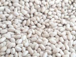 ���������� �������� ��� ������� - ����������