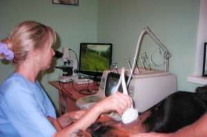 ���������� ���������