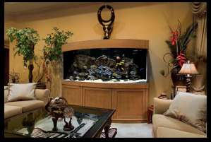 ���������� ���������