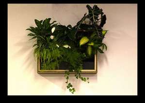 ���������� ���������