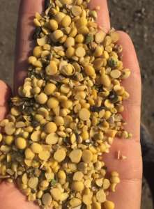 ���������� ��������� �� �� ��������� - ����������