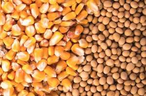 ���������� ��������� ���, ��������� ������������. - ����������