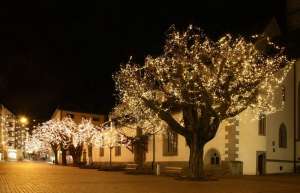 ���������� ��������� ����, �������� �����������.������ �������.