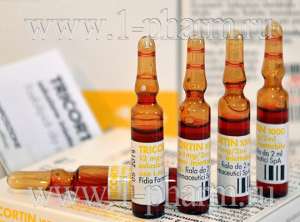 ���������� ��������� ����� - ����������