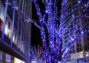 ���������� ���������. ���������� �����������.�������� ��� ��������. - ����������