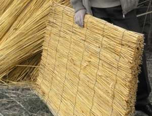 ���������� ��������� ������������� � ������������ ���� (�����) - ����������