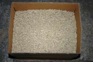 ���������� ����������