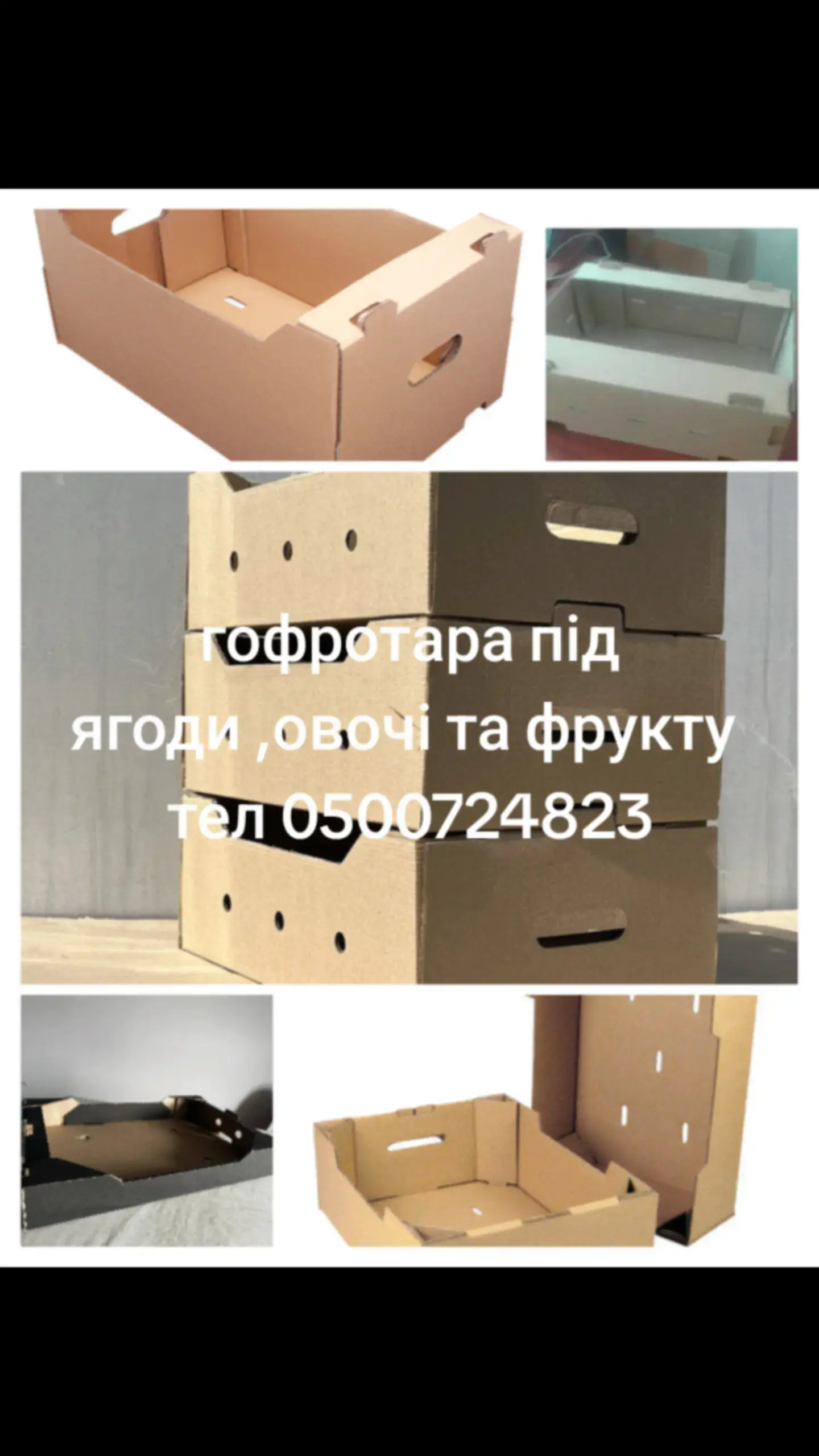 ���������� ���������� - ����������