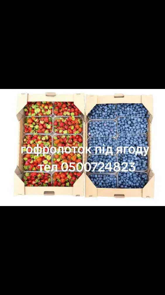 ���������� ����������