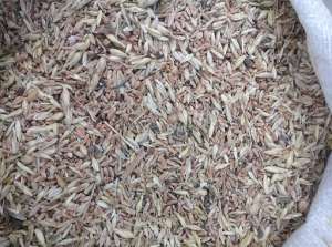 ���������� ����������� ������, �����, ����� - ����������