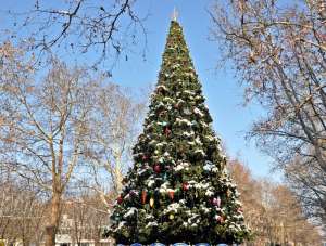 ���������� ������������ ����