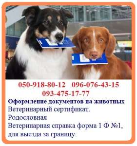 ���������� ������������ ��������� �� �������� - ������ ���������� ������ ����� 1 � �1, ��� ����� �� ������. - ����������