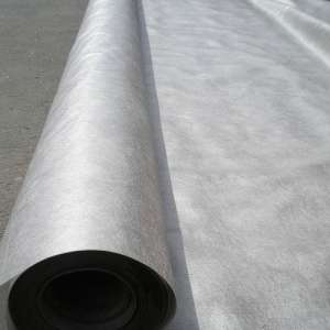 ����������� Typar�