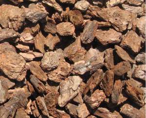 ������,����� � ��������� � ������ - ����������