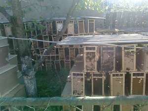 ����������� �� ���������� � ������� - ����������