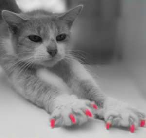 ����������� ��� ����� - ������ ������� - ����������