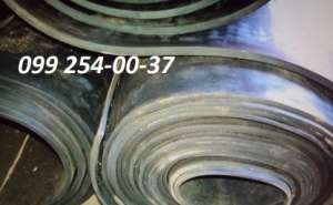 ����������� ���� (�����-������-�������-���������) - ����������