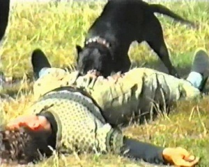 ����������� ����� - ����������