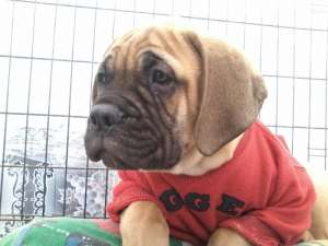 ����������� �����