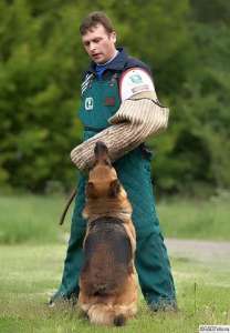 ����������� ����� ������ ���������� ��������