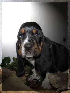 ������-����� ����� ���������