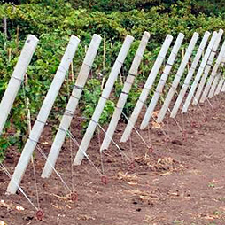 ����������� ������