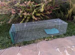 �����������, ������ �� ����. ��������� ��������. �������������� - ����������