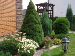 ����������� ������ "��� ����" ���������!