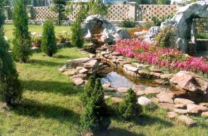 ����������� ������ �������.