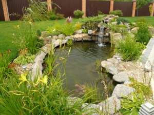 ����������� ������ �������