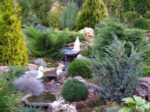 ����������� ������ ����������