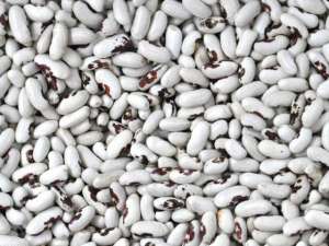 ����������� ������� � ���������� - ����������