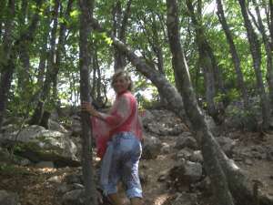 �����������. ��������! - ����������