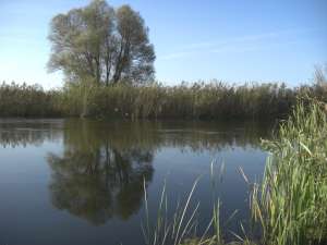 �����������. ��������!