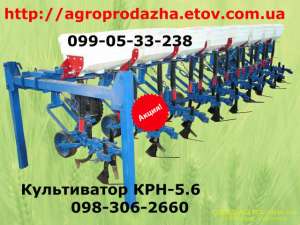 ����������� �������� ���-5.6 - �������� ������!