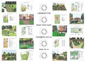 ����������� �������� �����, ������, �������������� ���. - ����������