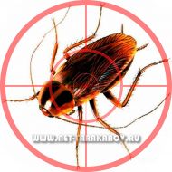 ����������� ���������, ������, ����.