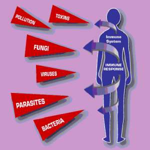 ����������� ��������� ���������� ��� ������������, ���������� � ������������ ����������� - ����������