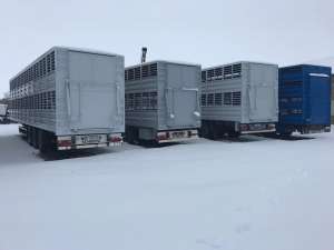 ����������� ���������� ��� ��������� ��������, �������� SCHMITZ